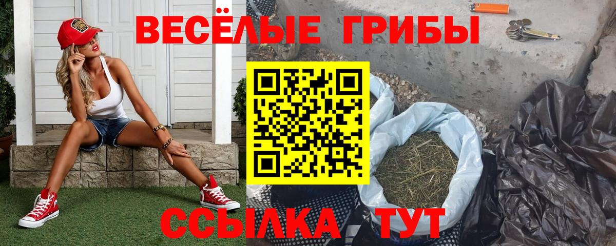 купить закладку  Вход с VPN  Лабинск  Галлюциногенные грибы прущие грибы 