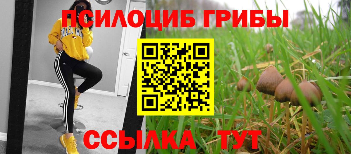 Псилоцибиновые грибы GOLDEN TEACHER Лабинск